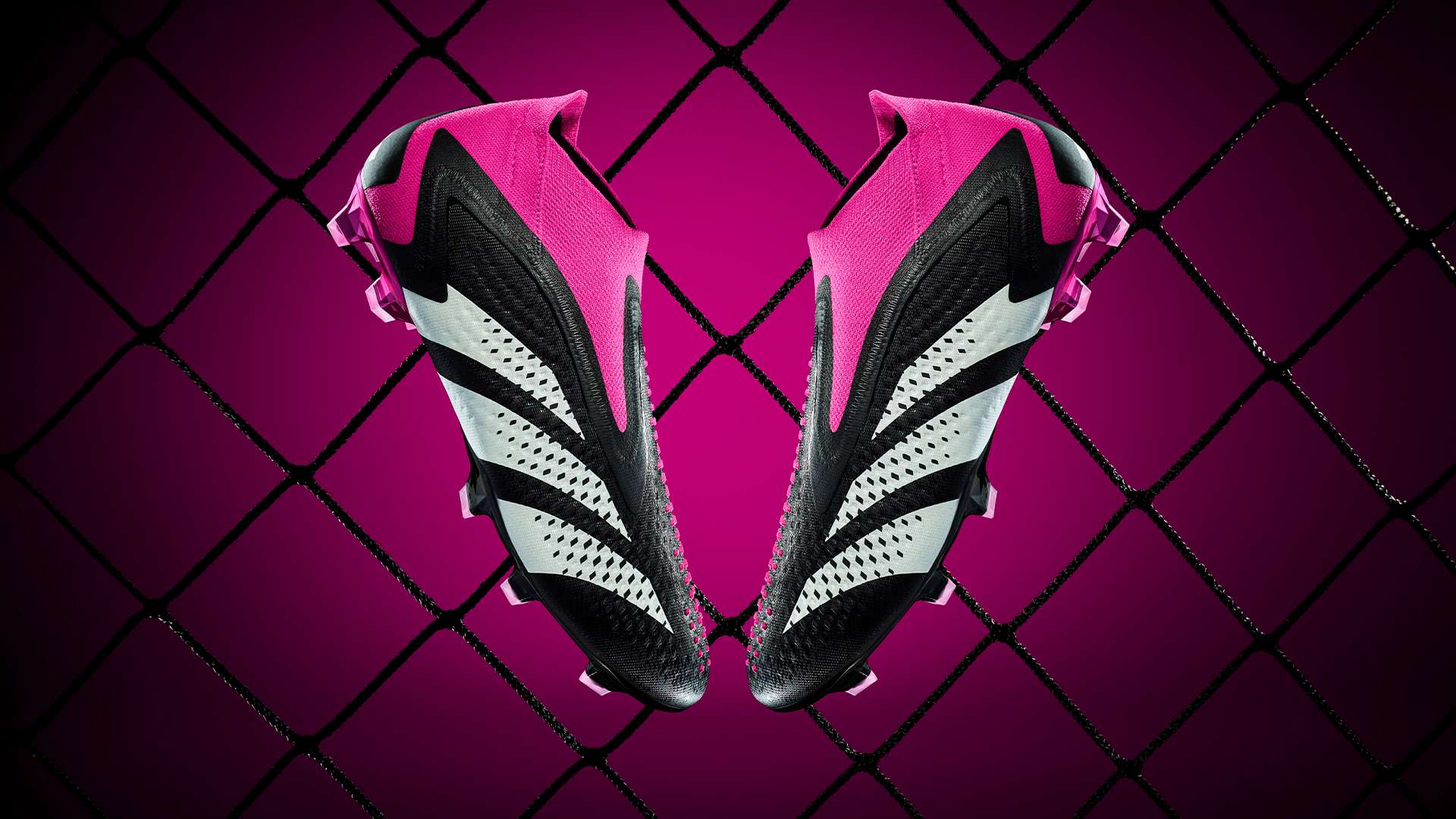 切尔西在迪 切尔西在迪